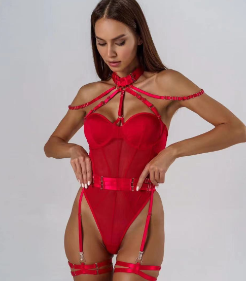 Sheer Lace Bodysuit with Garter Belt for Women LS1611