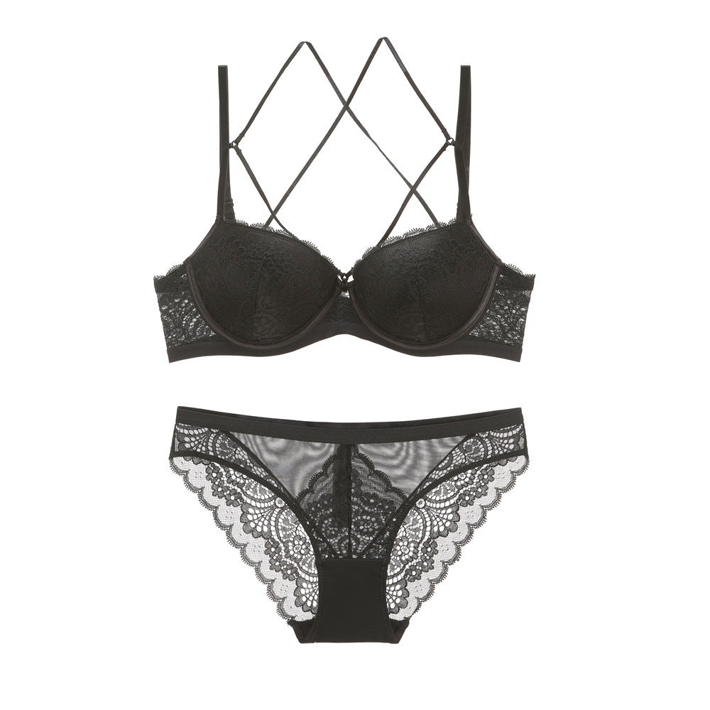 Lace Embroidered Bra and Lingerie Set (Style 5059)
