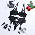 Set Of Mesh Embroidered Lingerie