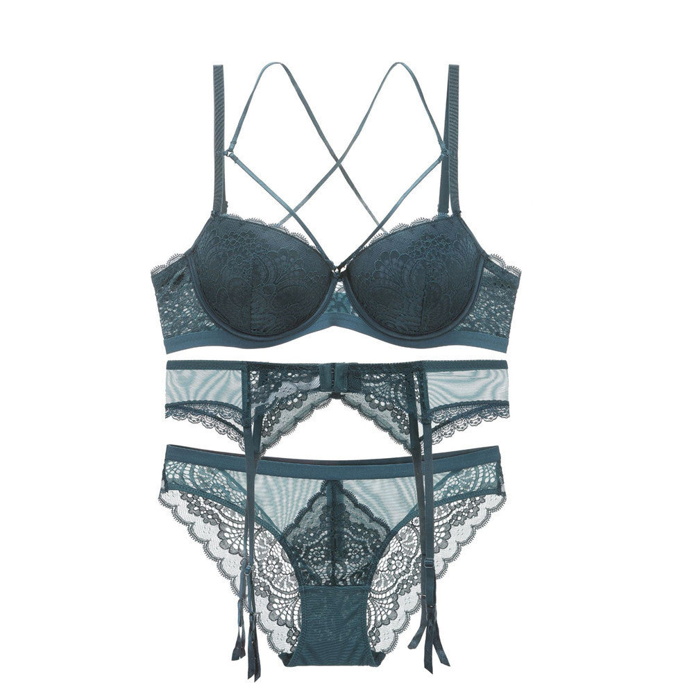 Lace Embroidered Bra and Lingerie Set (Style 5059)